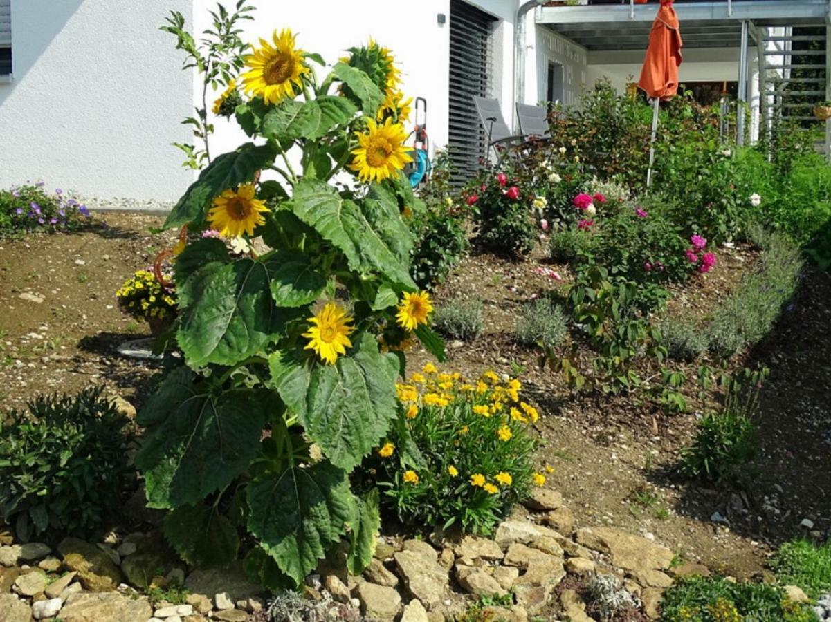 Ferienwohnung Hofstatt Lalling Екстер'єр фото